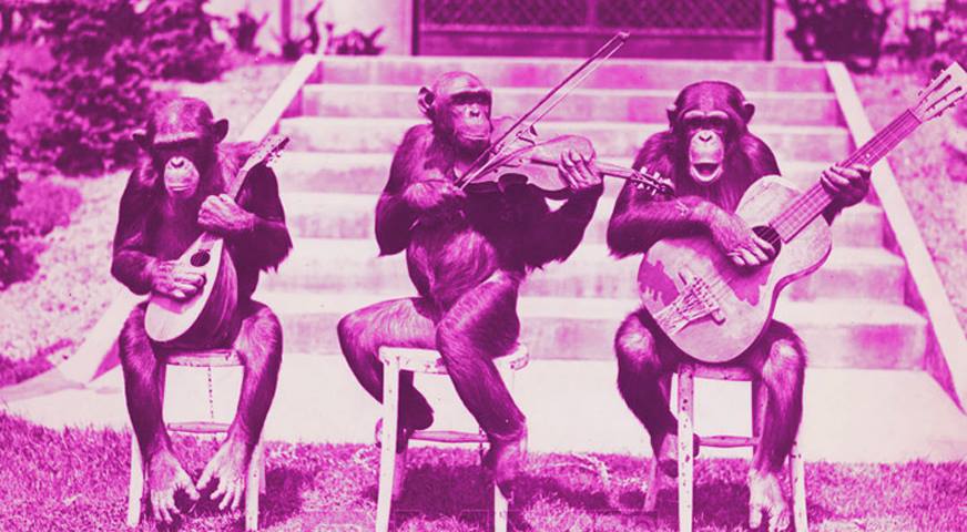 Naked Apes cover your favourite tunes from the last 40 years
