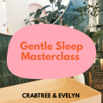 Gentle Sleep Masterclass 6m - 2y