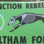 Extinction Rebellion Waltham Forest People's Assembly: How do we achieve change?