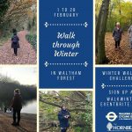 Walk through Winter in Waltham Forest