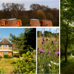 Suntrap Forest Centre Tour for school staff