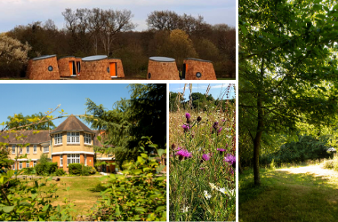 Suntrap Forest Centre Tour for school staff