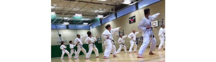 Five free karate lessons for beginners
