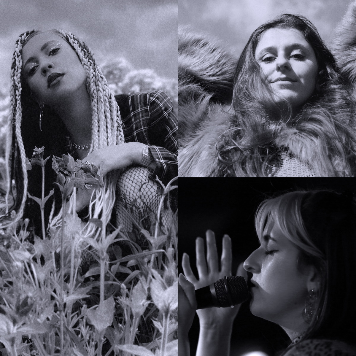 Daylight Music: Beth Hopkins, Jelly Cleaver and China Bowls