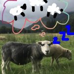 Sleepy Sheepy Dreams - Drama