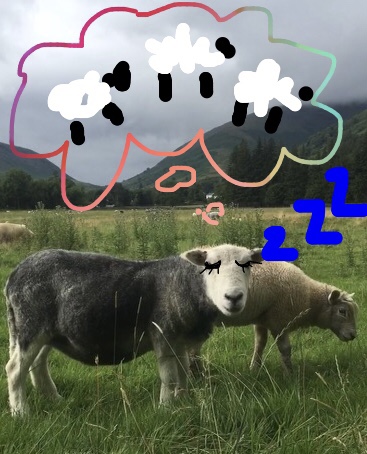 Sleepy Sheepy Dreams - Drama