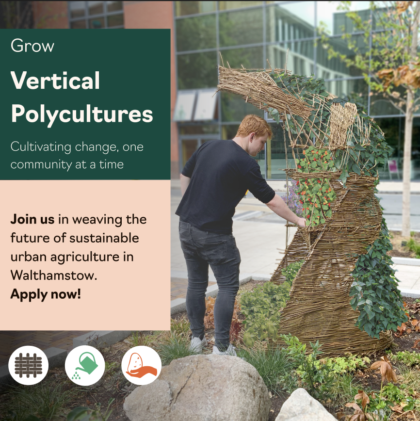Weave & Grow with Us: Vertical Polyculture Project in Walthamstow