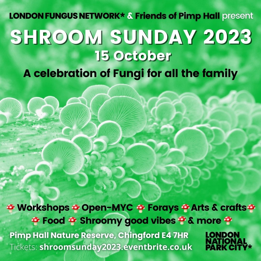 Shroom Sunday 2023