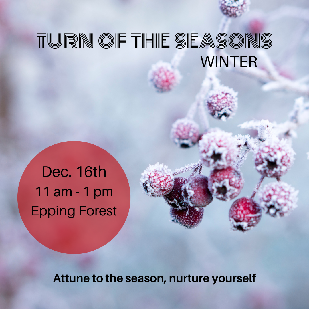 Turn Of  The Seasons - Winter