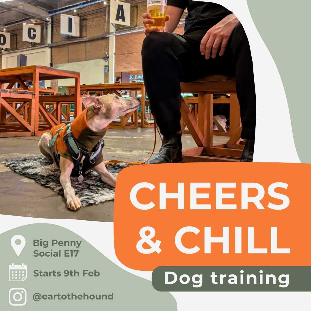 Cheers & Chill - Dog training classes for taproom vibes
