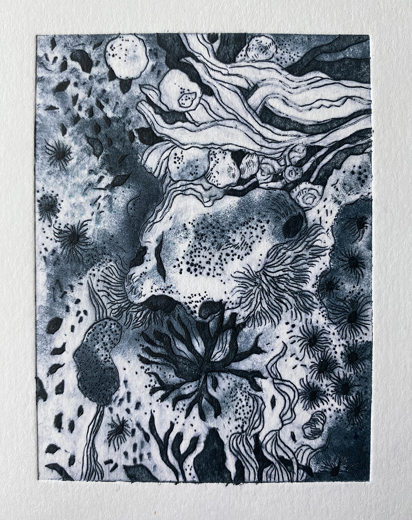 Symbioses: Living Together