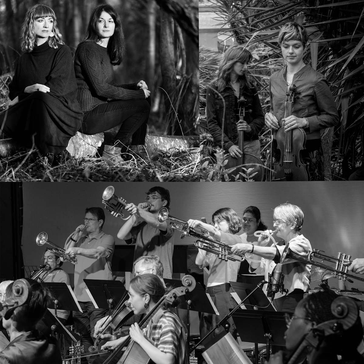 Daylight Music - EFG London Jazz Festival: CoMA, Trish Clowes & Louise McMonagle + J.A.M String Collective (duo)